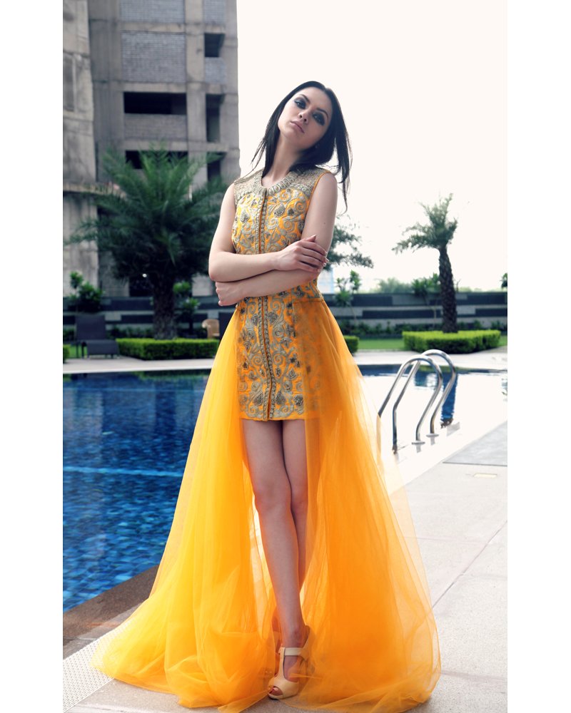 Yellow Zari Embroidered Long Gown