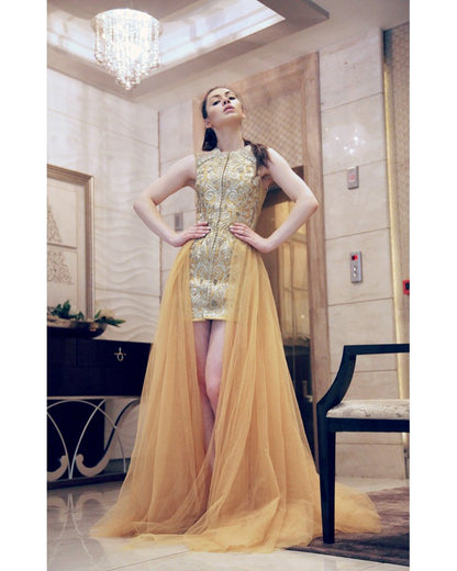 Gold Embroidered net gown