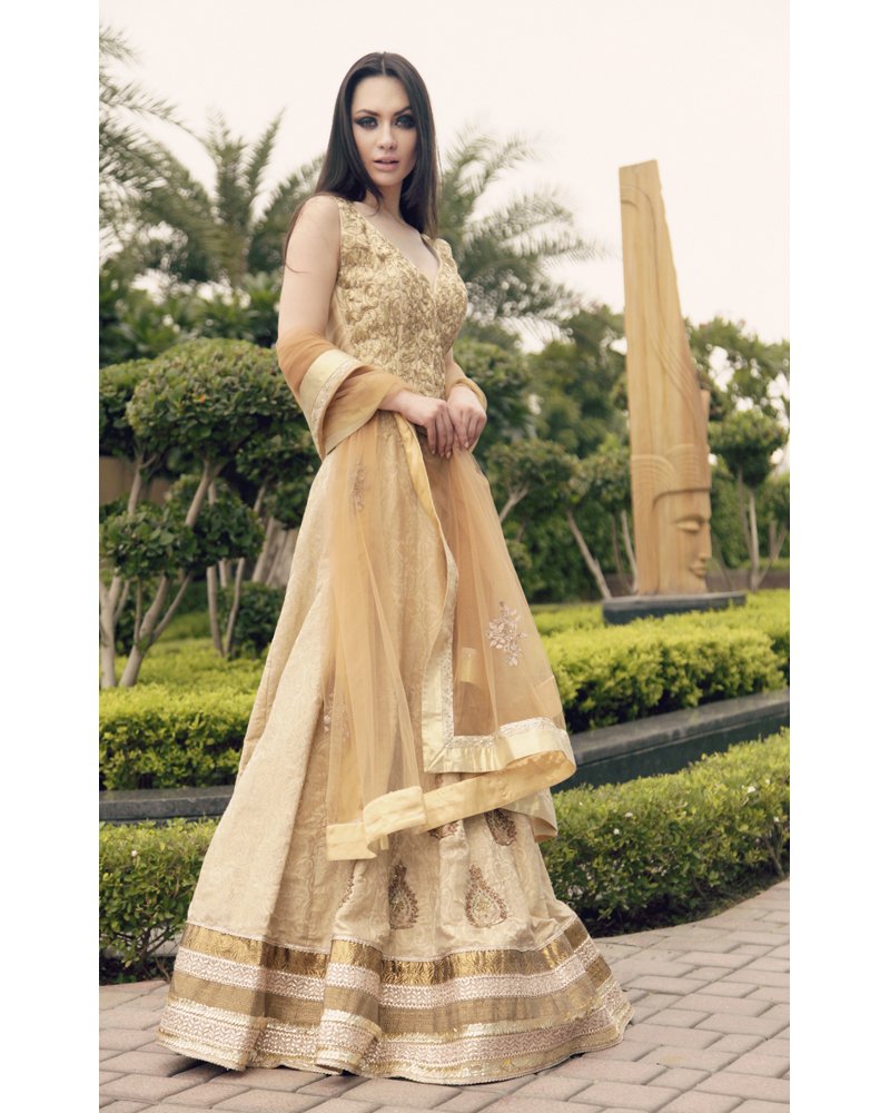 Gold Embroidered Silk Anarkali