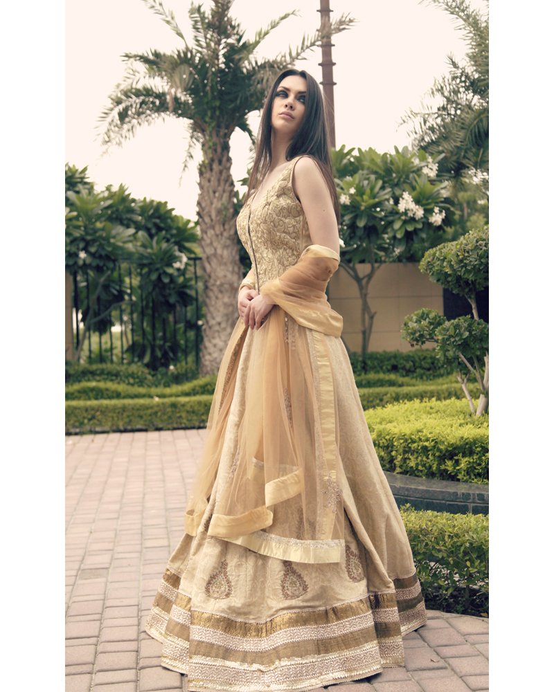 Gold Embroidered Silk Anarkali