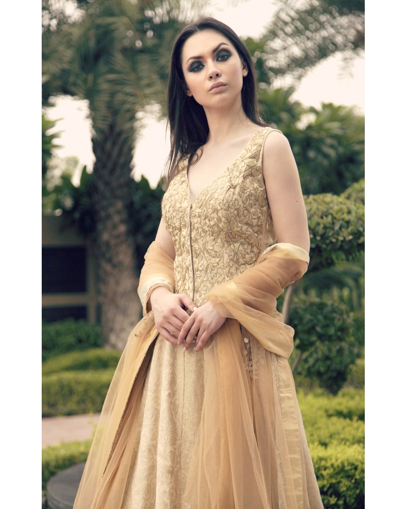 Gold Embroidered Silk Anarkali