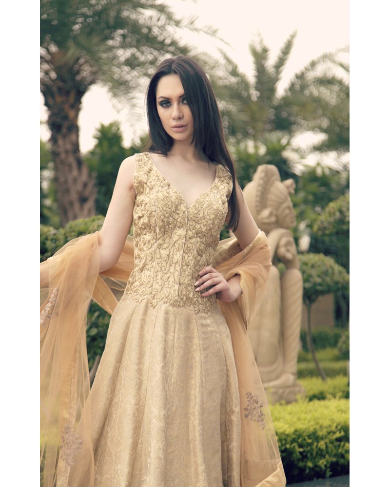 Gold Embroidered Silk Anarkali