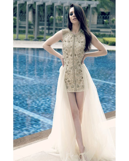 Ivory Embroidered Net Gown