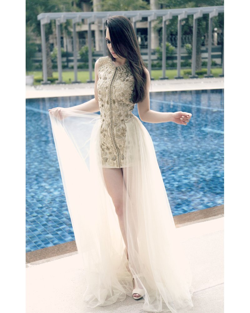 Ivory Embroidered Net Gown