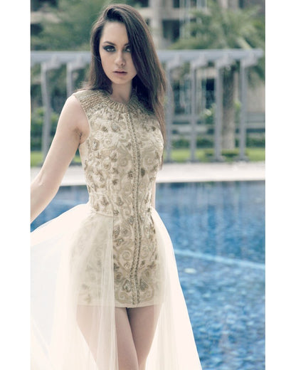 Ivory Embroidered Net Gown