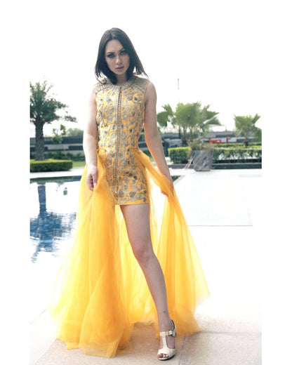 Yellow Zari Embroidered Long Gown