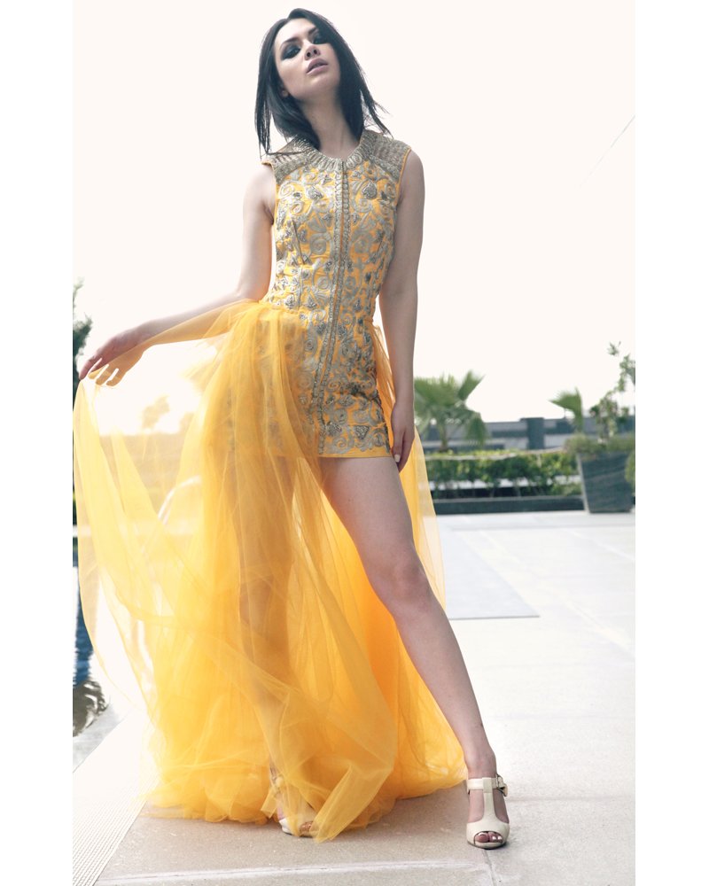 Yellow Zari Embroidered Long Gown