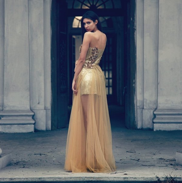 Embellished Gold Net gown