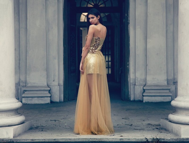 Embellished Gold Net gown