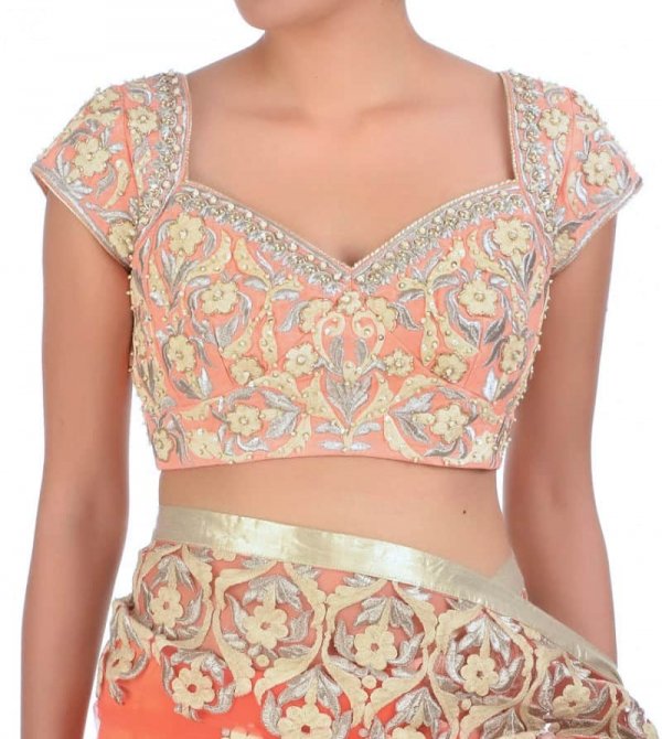Zari & Dori Embroidered Choli cut sari blouse